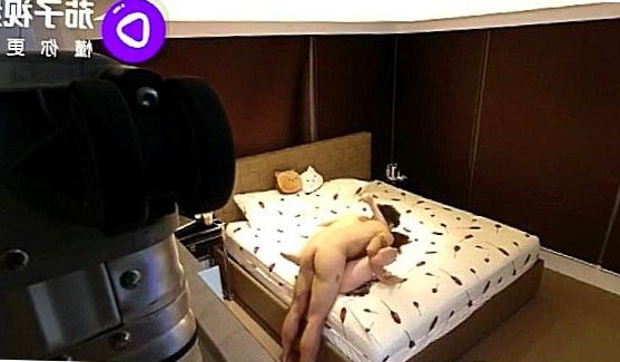 Голые и смешные, порно видео